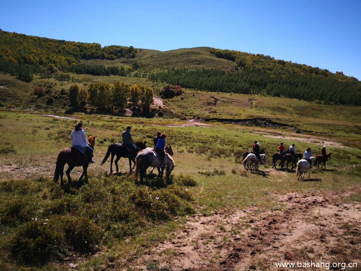 壩上草原團建項目 壩上草原團建項目
