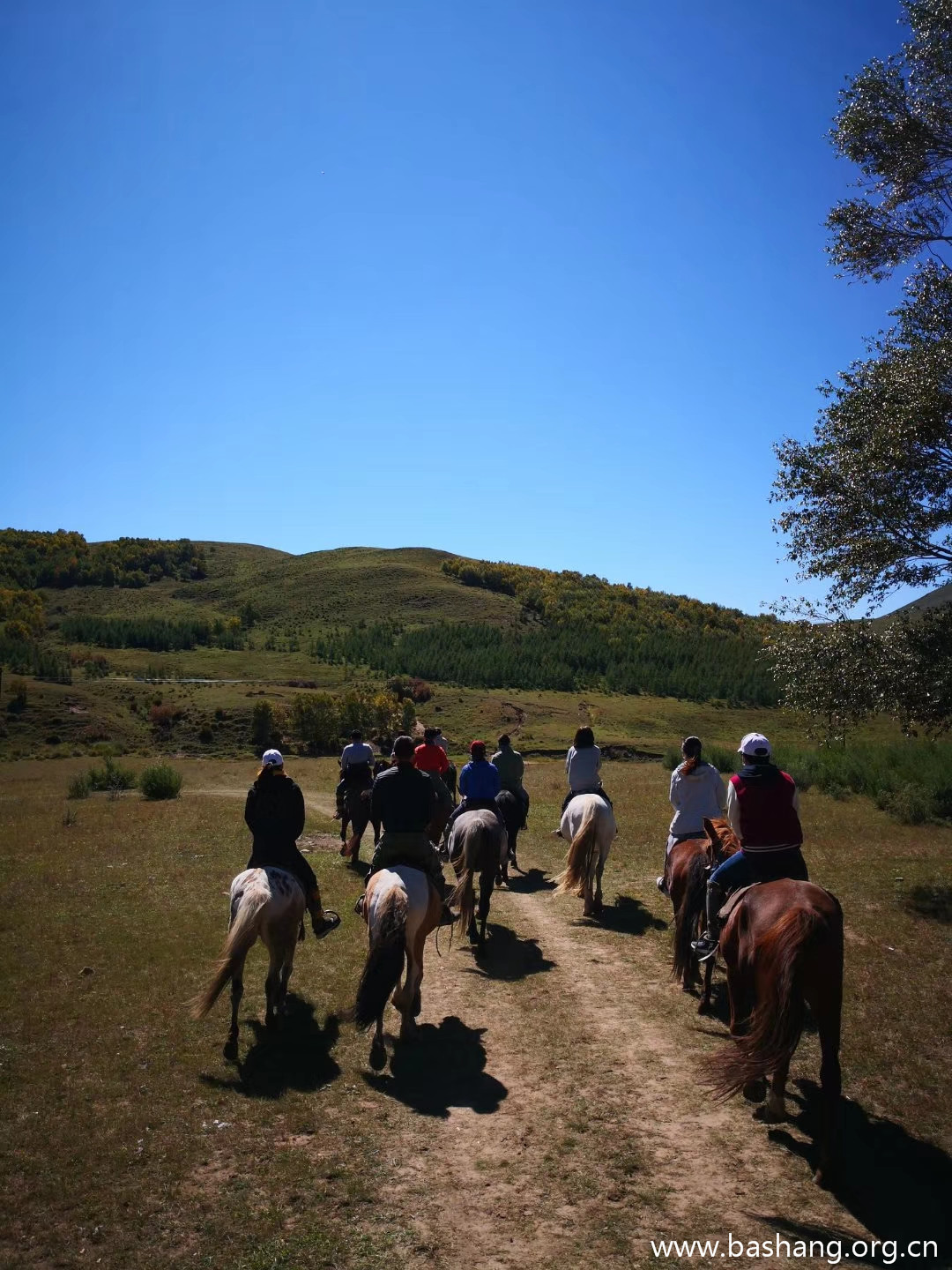 壩上草原團建項目 壩上草原團建項目
