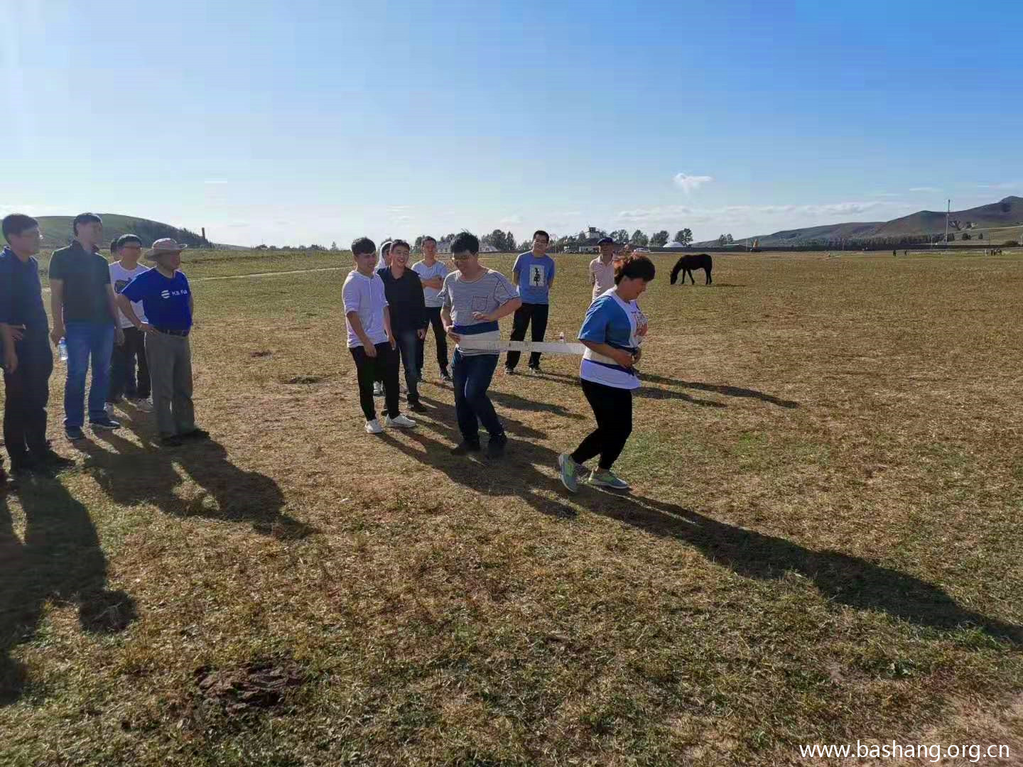 壩上草原團建項目 壩上草原團建項目